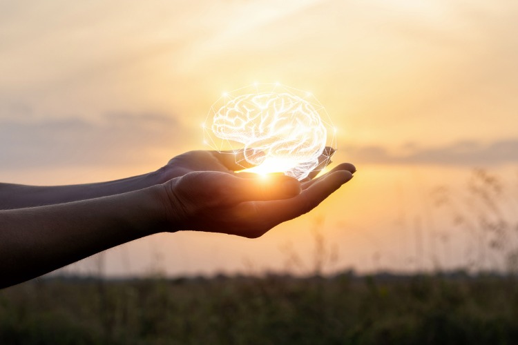 hands cupping a line drawing of a brain in the sunlight