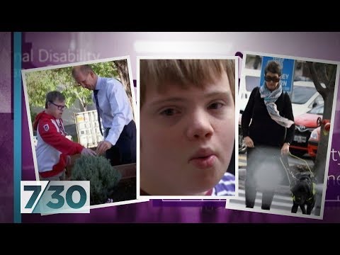 Picture of three pictures being displayed one with a lady with a guide dog walking down the street one with a young boy and one with a boy and a man looking at a plant